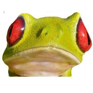 Meet your Posher, Mason